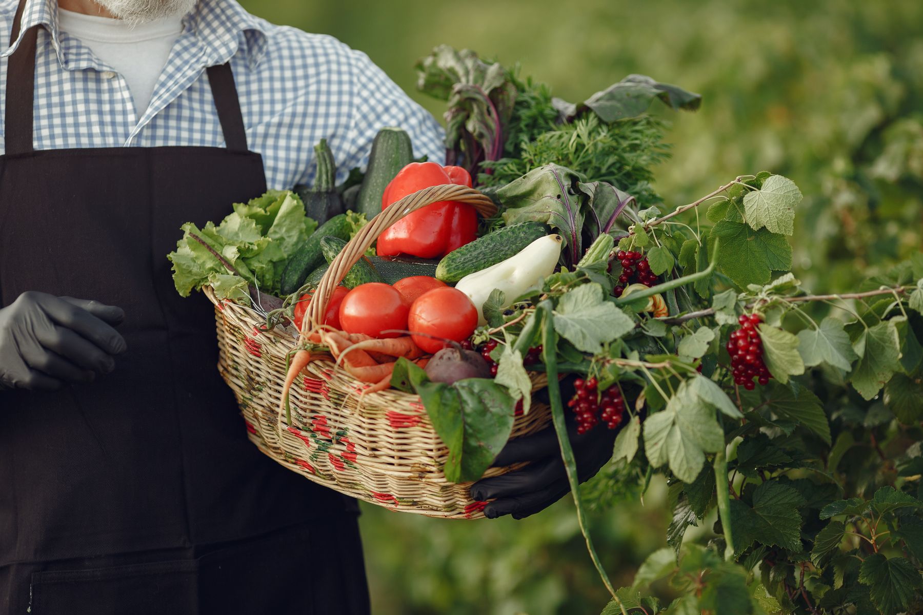 Producător local cu un coș de legume proaspete